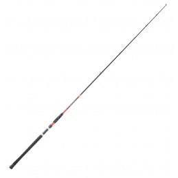 Canne Daiwa Megaforce Big Fish